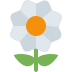 :blossom: :blossom: