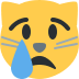 :crying_cat_face: :crying_cat_face: