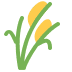 :ear_of_rice: :ear_of_rice: