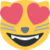 :heart_eyes_cat: :heart_eyes_cat: