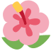 :hibiscus: :hibiscus: