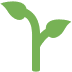 :seedling: :seedling: