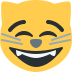:smile_cat: :smile_cat: