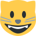 :smiley_cat: :smiley_cat: