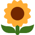 :sunflower: :sunflower: