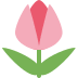 :tulip: :tulip: